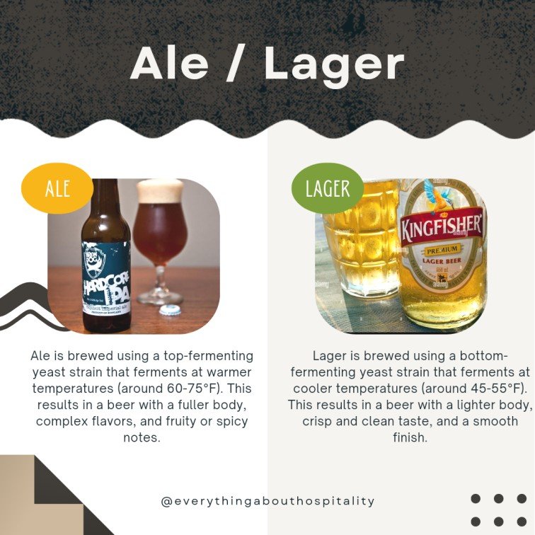Difference between Ale and Lager
